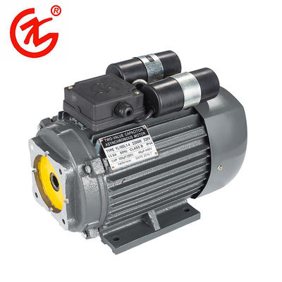 Asynchronous Induction Motor YL Series Hot Saling