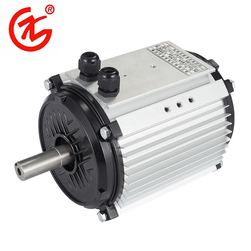 Quality Asynchronous Electric Motor YS Series Manufacturer
